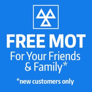 img-free-mot